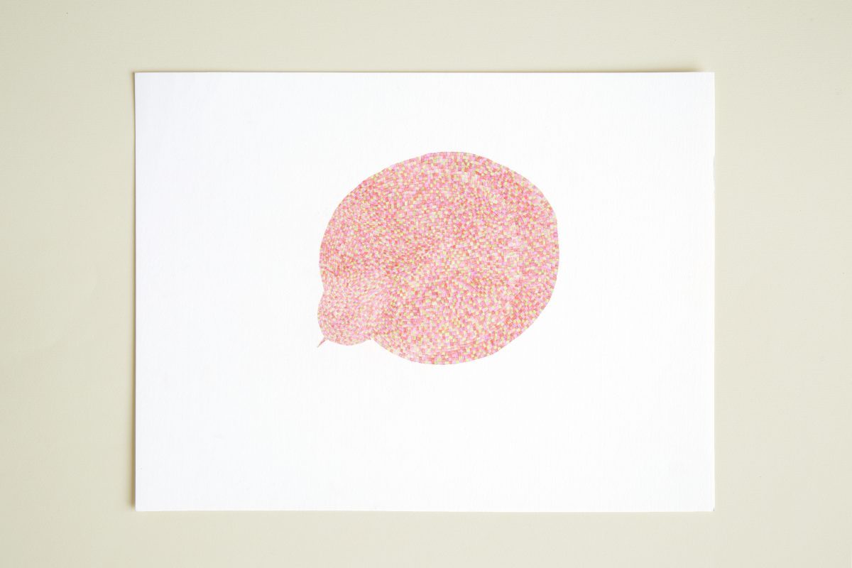 Square n°01 - Yoko Homareda, Autumne 2013